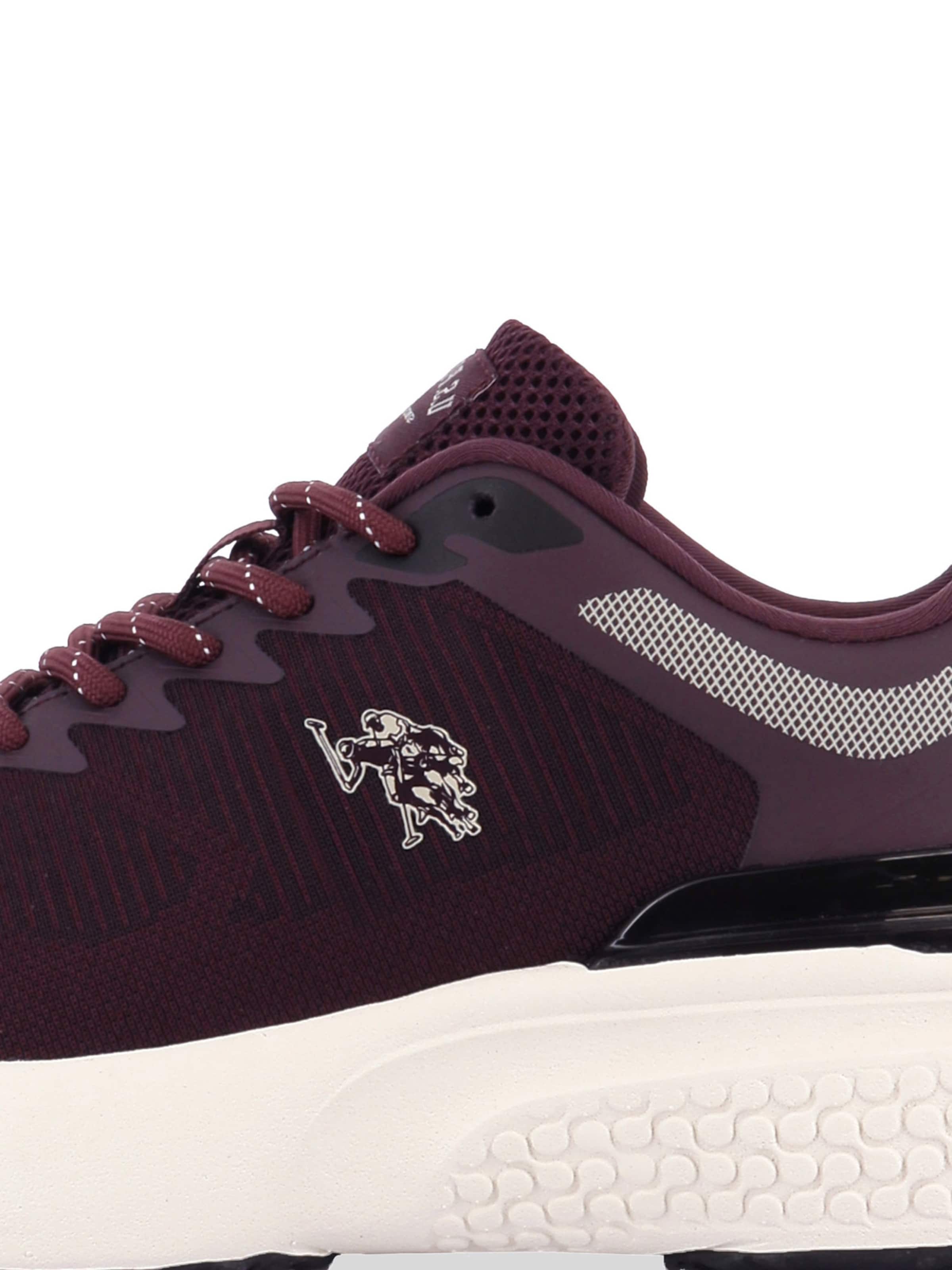 Sneaker bassa 'Spritz' di US POLO ASSN. in lilla