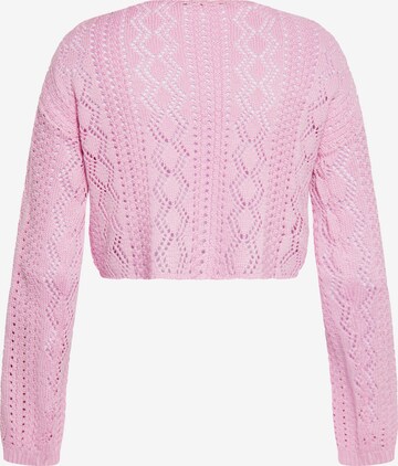 ebeeza Pullover in Pink
