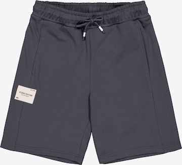 pilka ALPHA INDUSTRIES Laisvas Kelnės: priekis