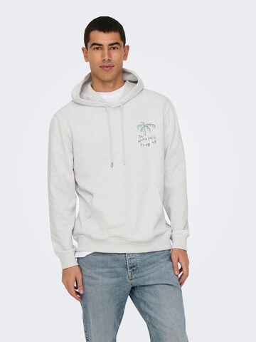 Only & Sons Sweatshirt 'ONSDavid' in Grey