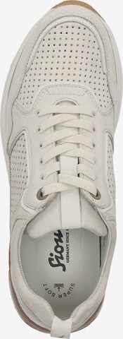 SIOUX Sneakers ' Rojaro-716 ' in Beige