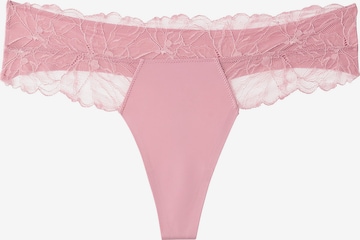 String Calvin Klein en violet : devant