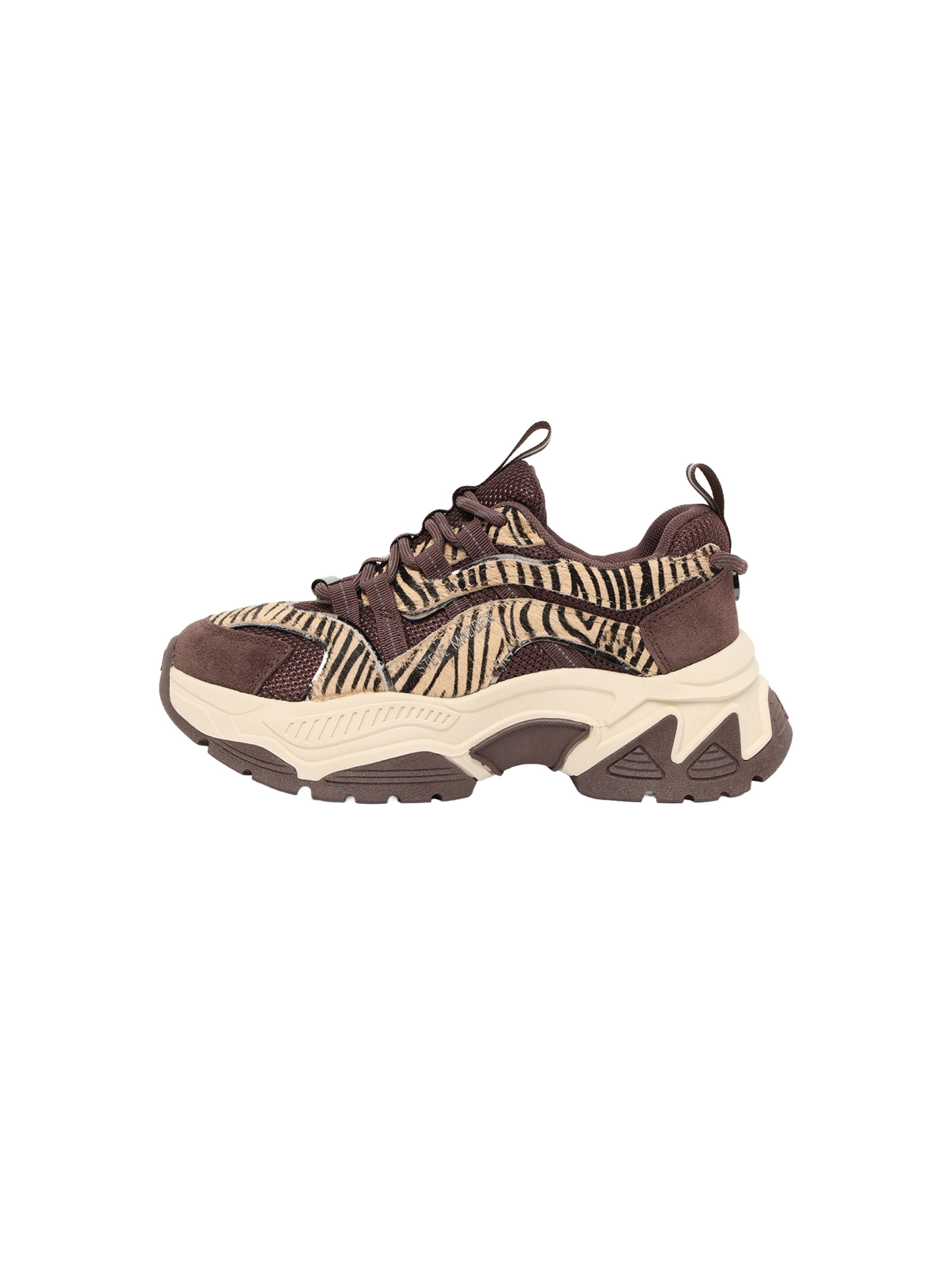 STEVE MADDEN Nizke superge 'Animates-LE' | rjava barva: sprednja stran