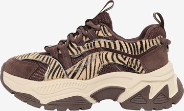 STEVE MADDEN Nizke superge 'Animates-LE' | rjava barva: sprednja stran