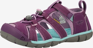 KEEN Sandals 'Seacamp 2' in Purple: front