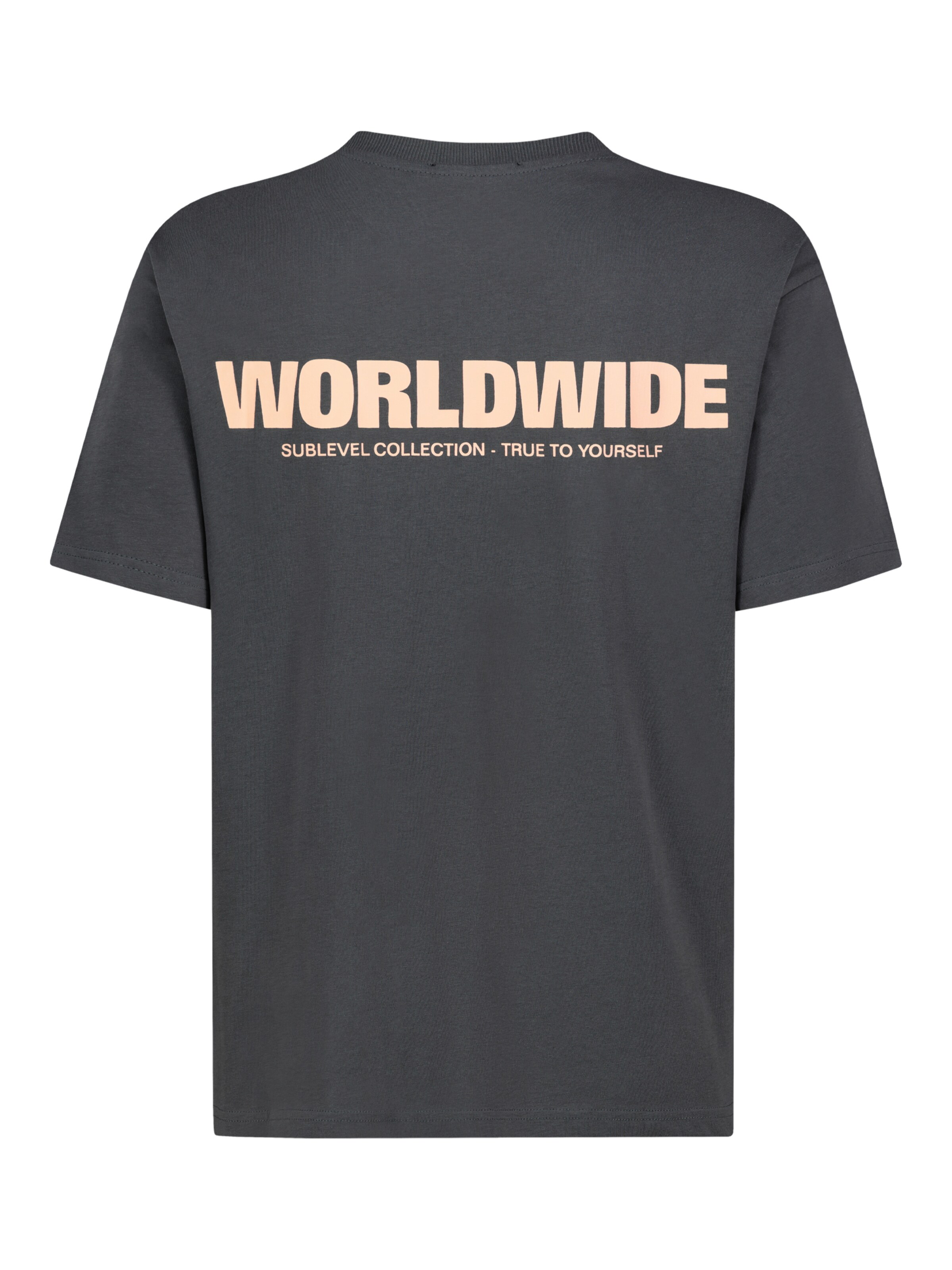 Sublevel Shirt in Grau