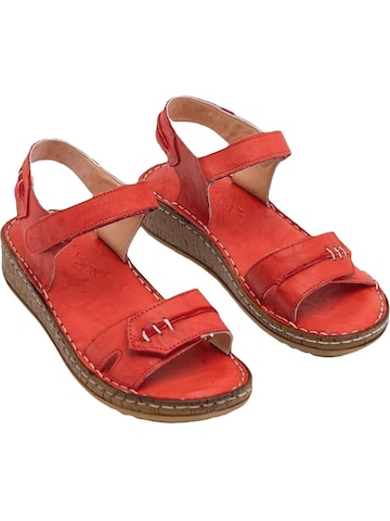 Limoya Sandaal 'Leone' in Rood
