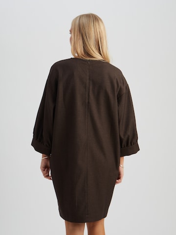 Peppercorn Dress 'Silva' in Brown