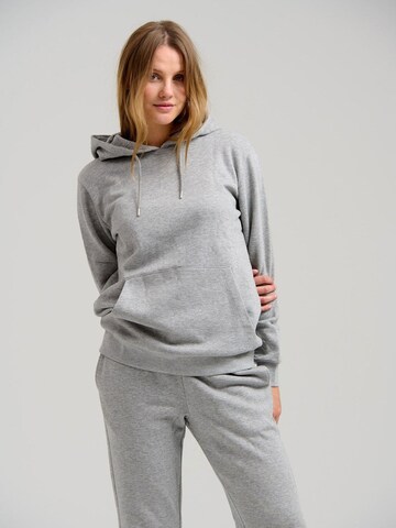 TeeShoppen Sweatshirt in Grey