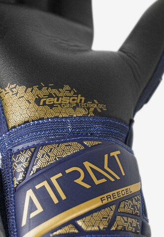 REUSCH Athletic Gloves 'Attrakt Freegel' in Blue