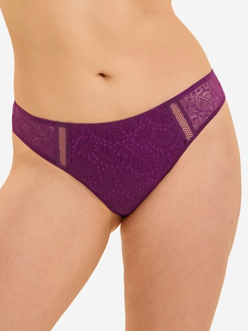 Simone Perele Panty 'Cométe' in Purple