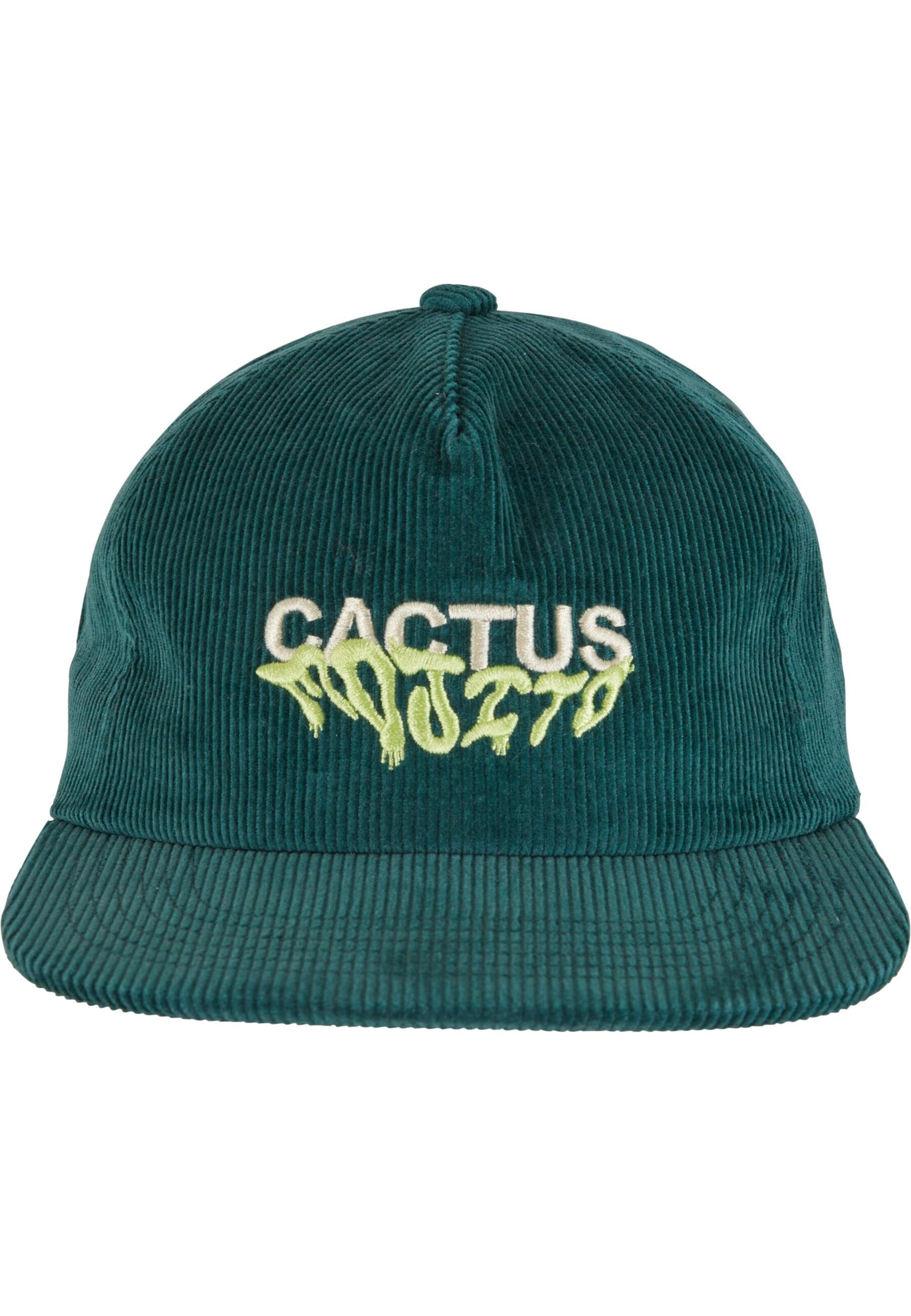 Pica Pica Pet 'Cactus Mojito' in Groen