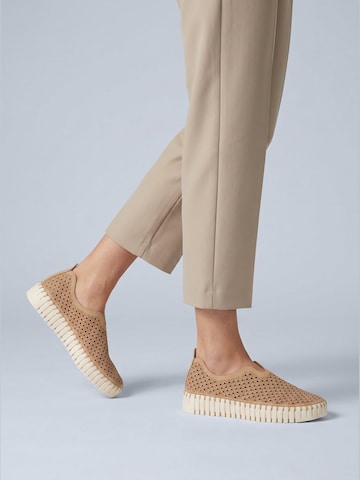 ILSE JACOBSEN Slip-Ons in Brown: front