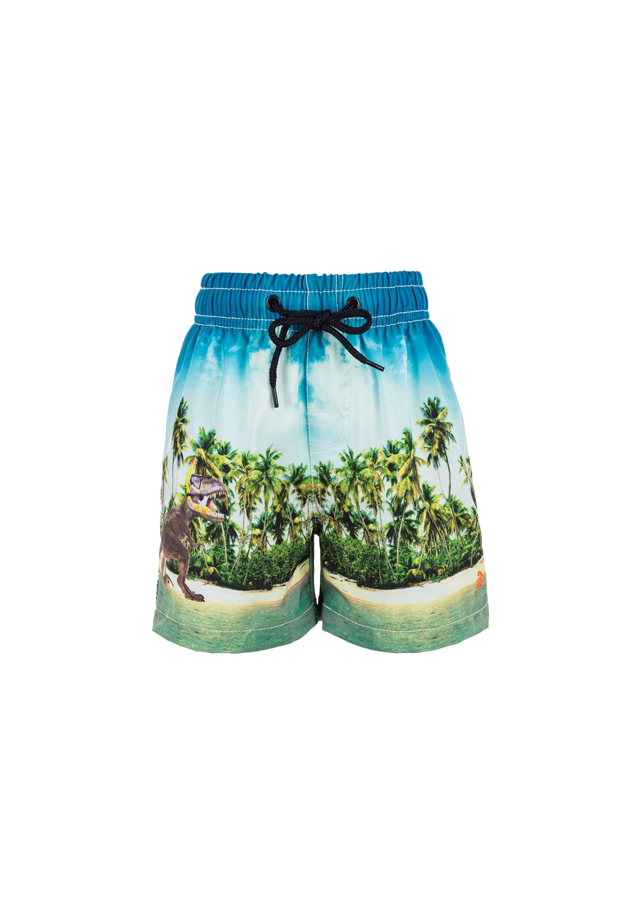 ZigZag Badehose in Mischfarben: Vorderseite