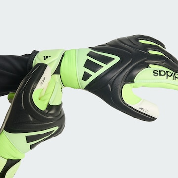 Gants de sport 'Copa League' ADIDAS PERFORMANCE en vert