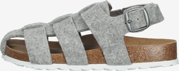 SHEPHERD Slippers in Grey