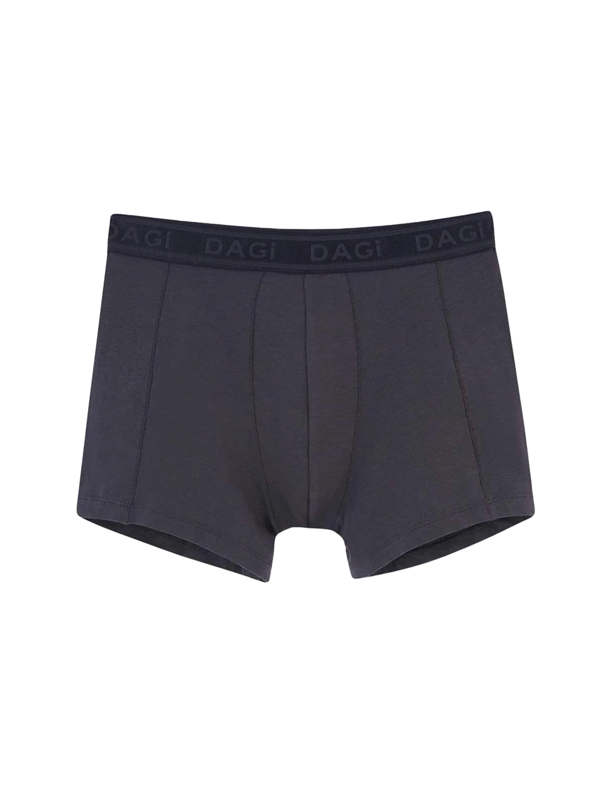 Dagi Boxershorts i grå: framsida