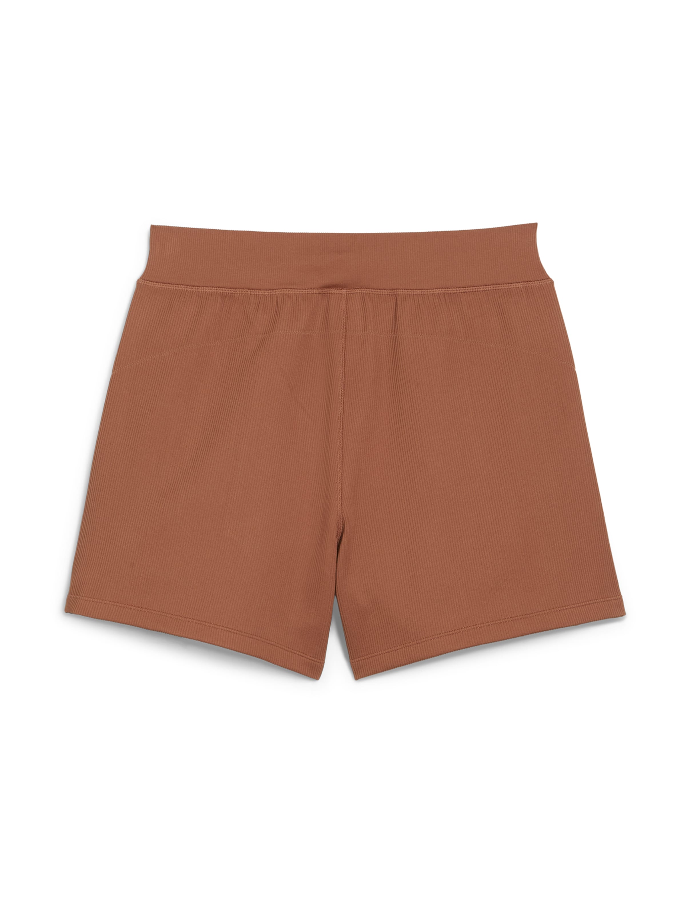 PUMA Regularen Hlače 'DARE TO MUTED MOTION' | rjava barva