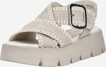 GABOR Sandaalit värissä harmaa: etupuoli