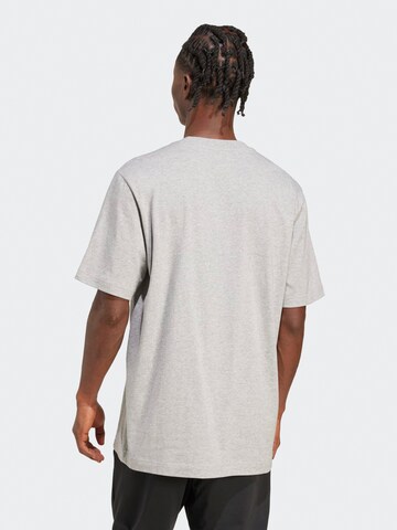 T-Shirt fonctionnel 'SKATE' ADIDAS SPORTSWEAR en gris