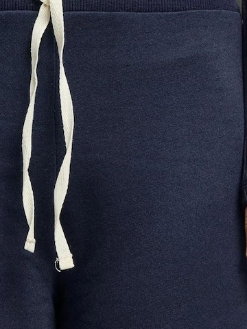 Hiccup Wide leg Broek in Blauw