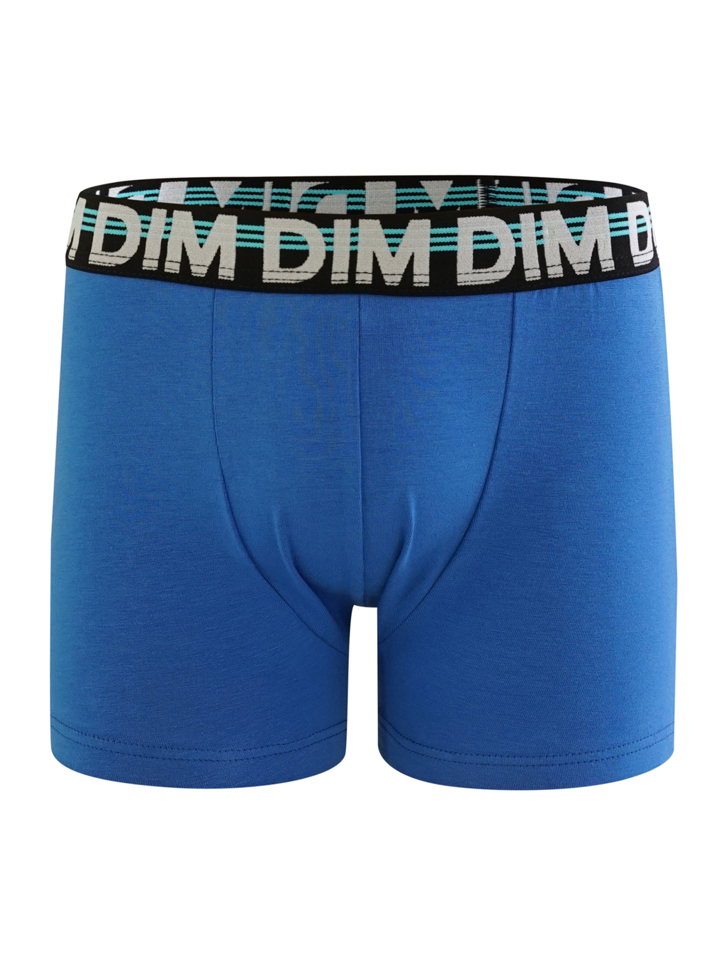 DIM Unterhose in Blau