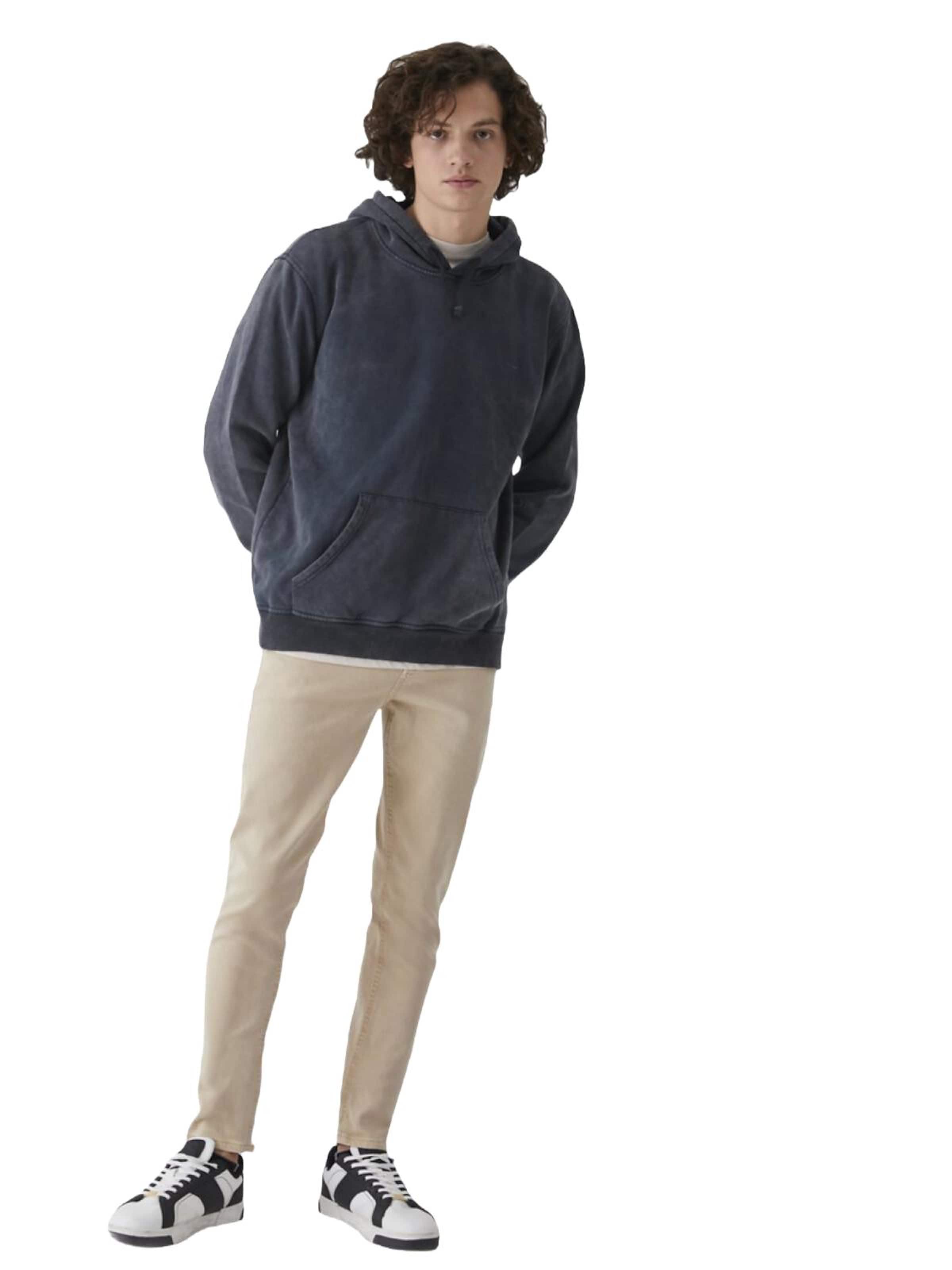 LTB Jeans - Sudadera 'LTB Jeans Herren Basic Sweatshirt' en gris
