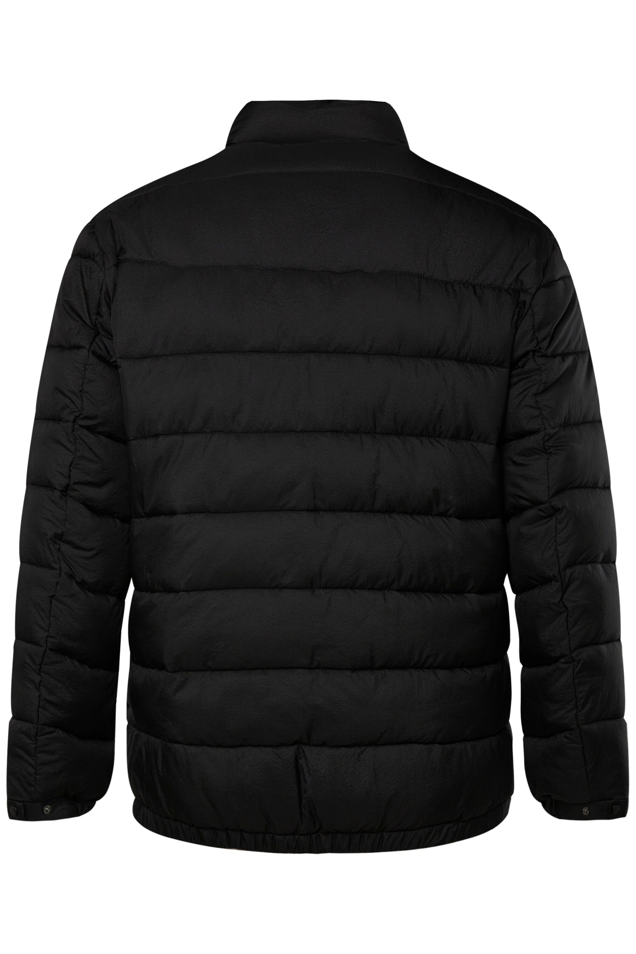 Men Plus Winter jacket in Black