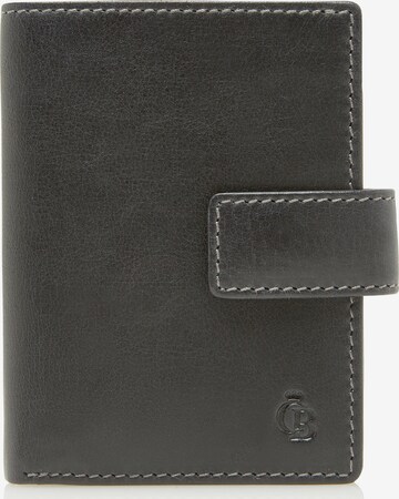 Castelijn & Beerens Wallet 'Canyon' in Grey: front