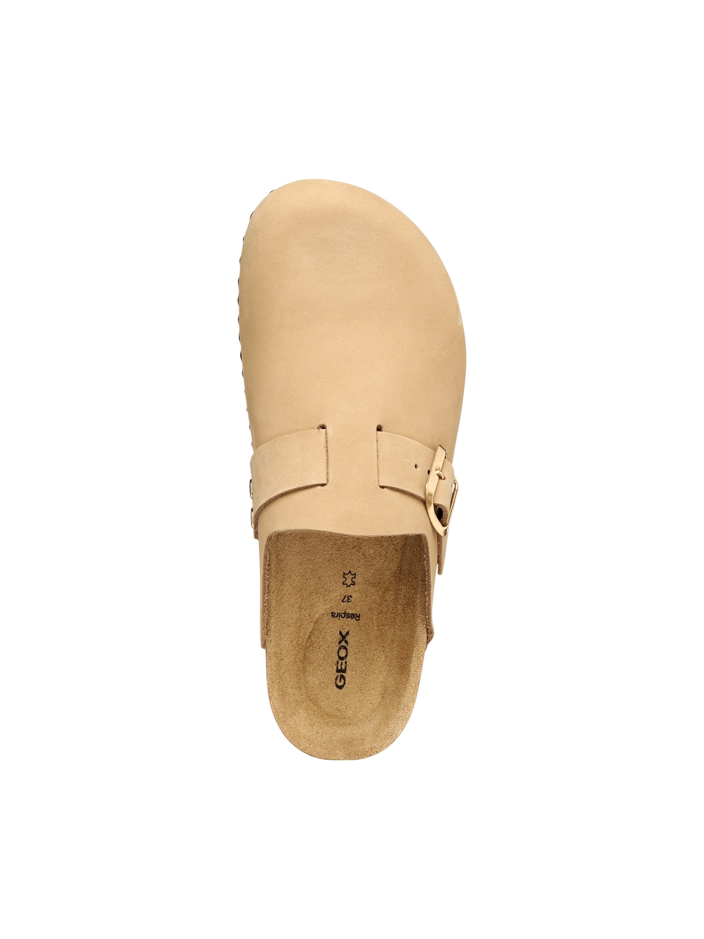 GEOX Pantolette 'Brionia' in Grau