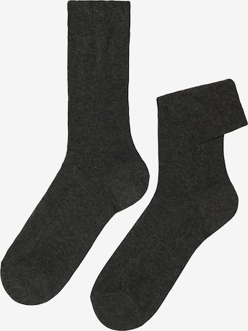 CALZEDONIA Socken in Grau: predná strana