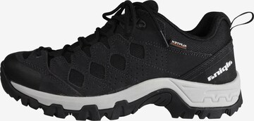 Alpina Athletic Shoes 'Dan Low' in Black