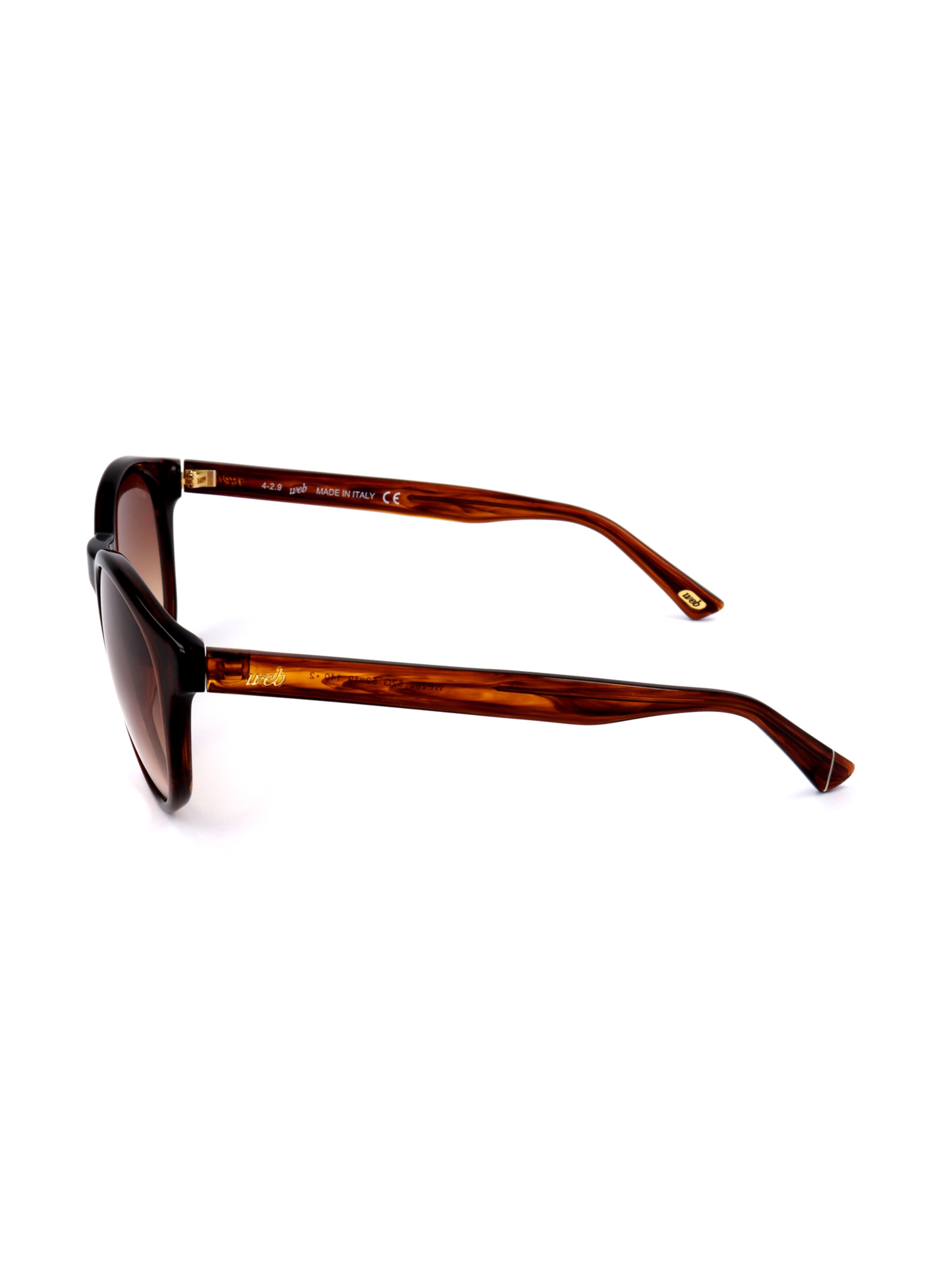 Occhiali da sole 'WE0292' di Web Eyewear in marrone