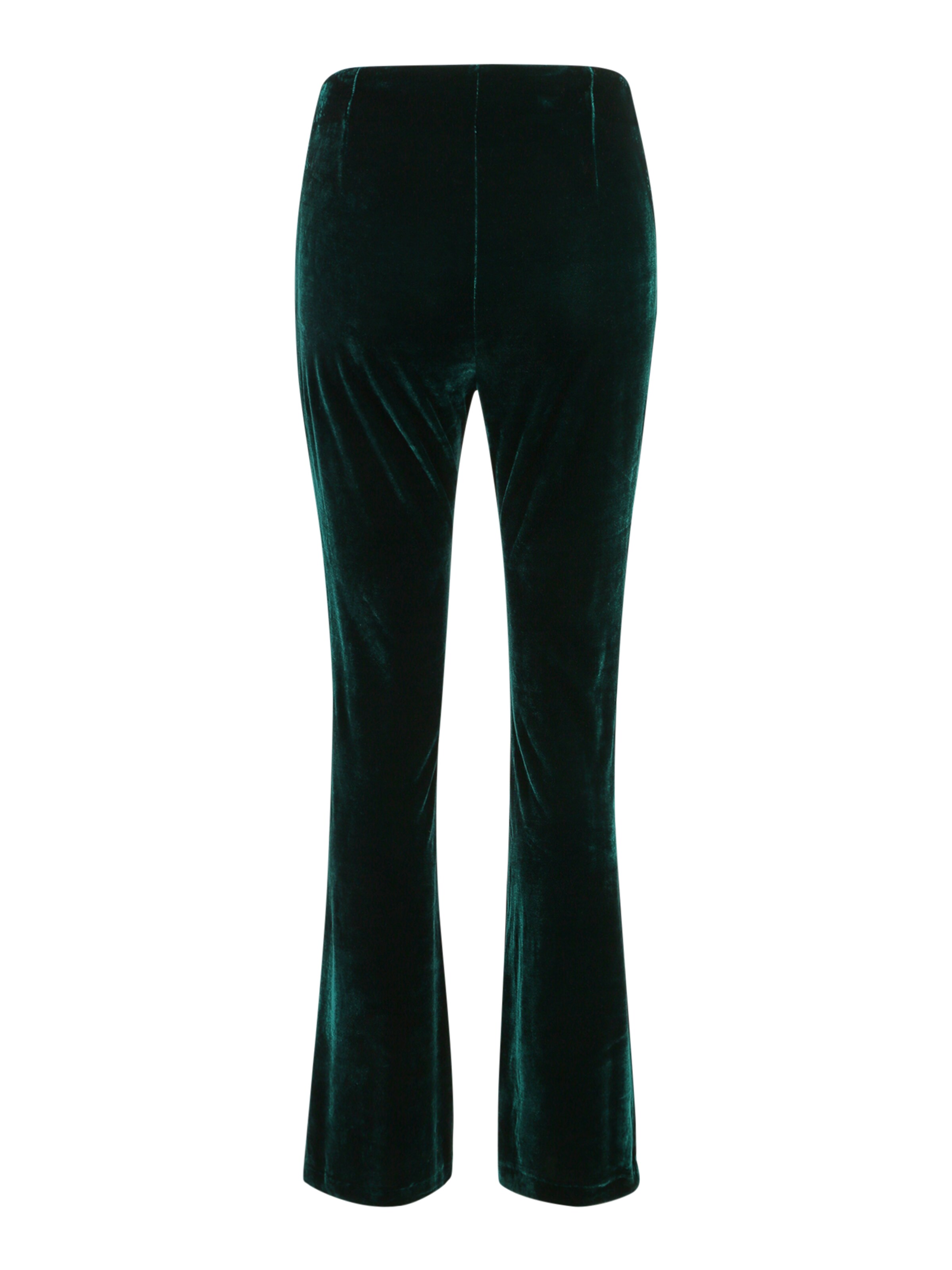 Wallis Petite Расклешенный Штаны в Зеленый