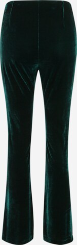 Wallis Petite Flared Pants in Green