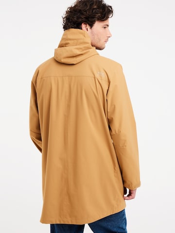 PROTEST Winter jacket 'PRTTHOREAU' in Brown