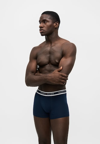 Tommy Hilfiger Underwear Bokserki w kolorze niebieski