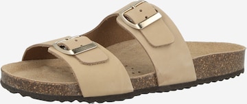 Mule 'BRIONIA' GEOX en gris : devant