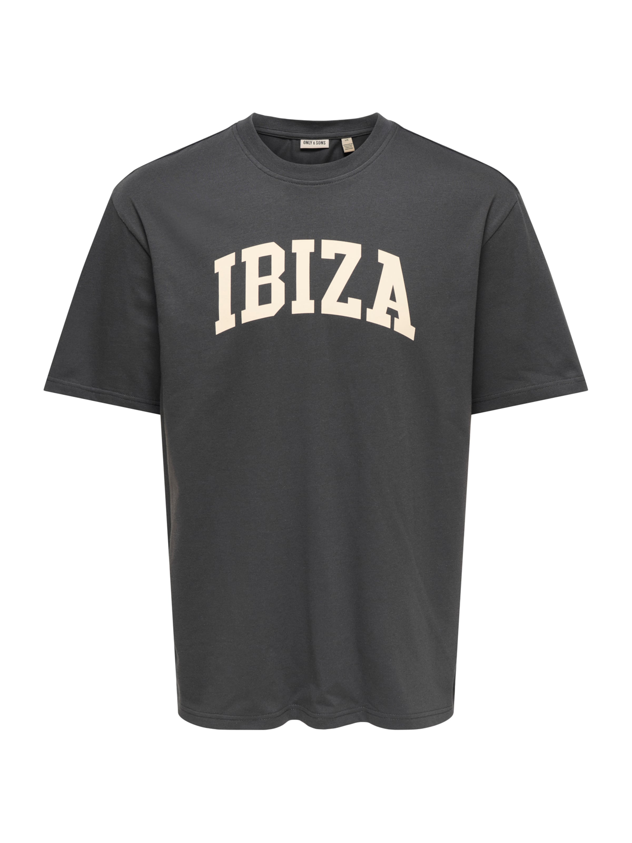 Only & Sons Shirt 'ONSRICO ISLAND' in Grey: front