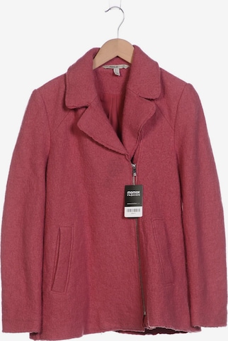 Trafaluc Jacket & Coat in M in Pink: front