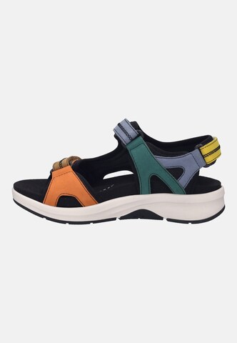 JOSEF SEIBEL Sandaal 'ESTELLE 02' in Gemengde kleuren