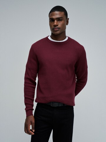 Pull-over Salsa Jeans en rouge : devant