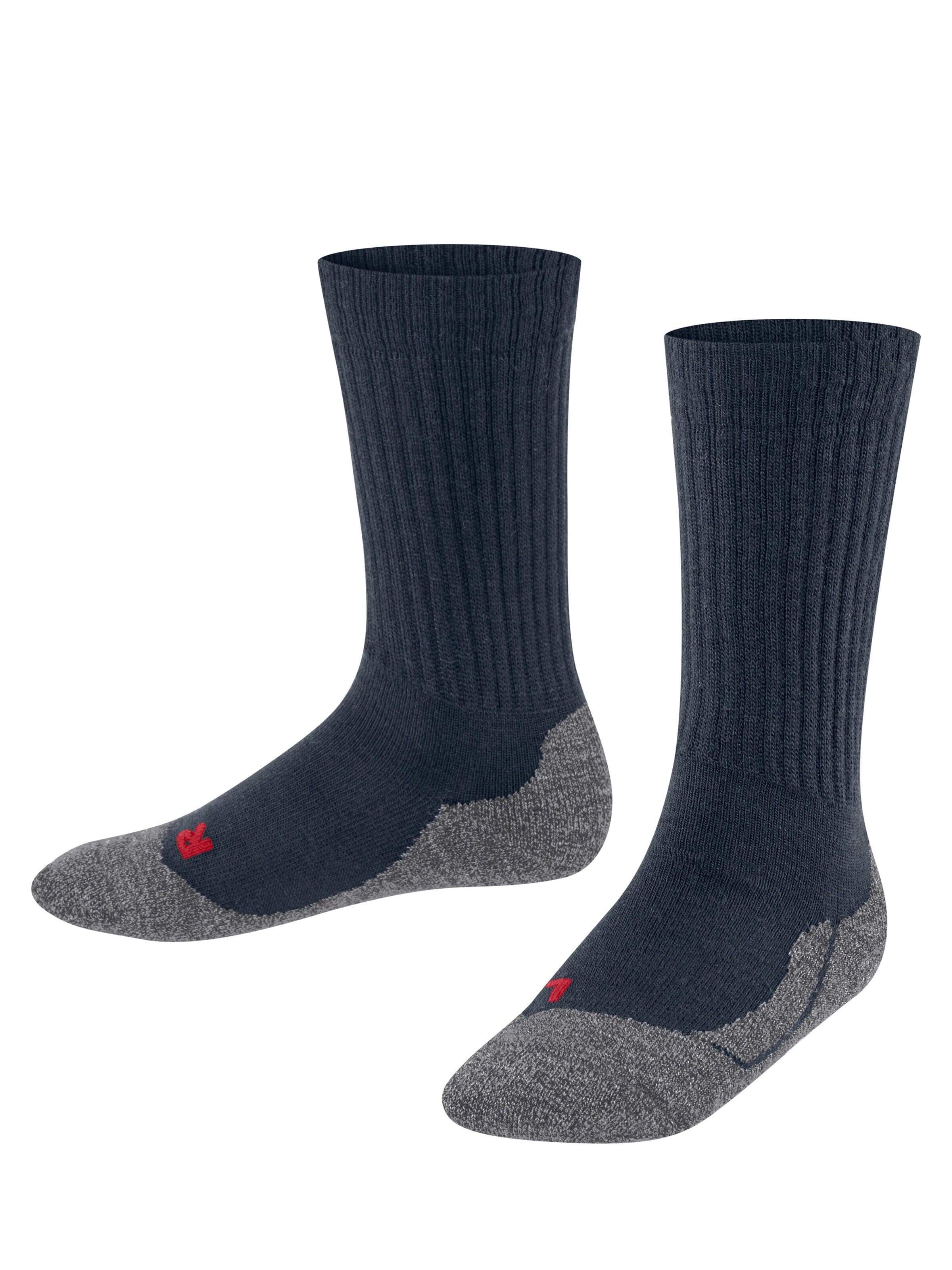 FALKE Socks 'Active Warm' in Blue: front