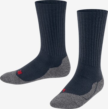 FALKE Socks 'Active Warm' in Blue: front