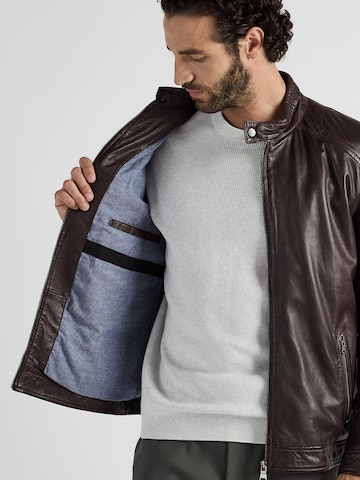 JCC Tussenjas in Bruin