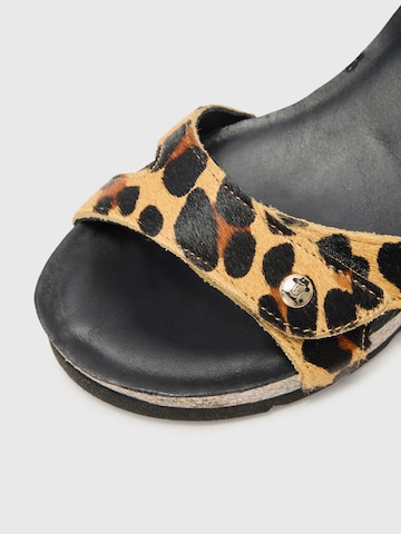 PANAMA JACK Sandals 'Julia B1' in Brown