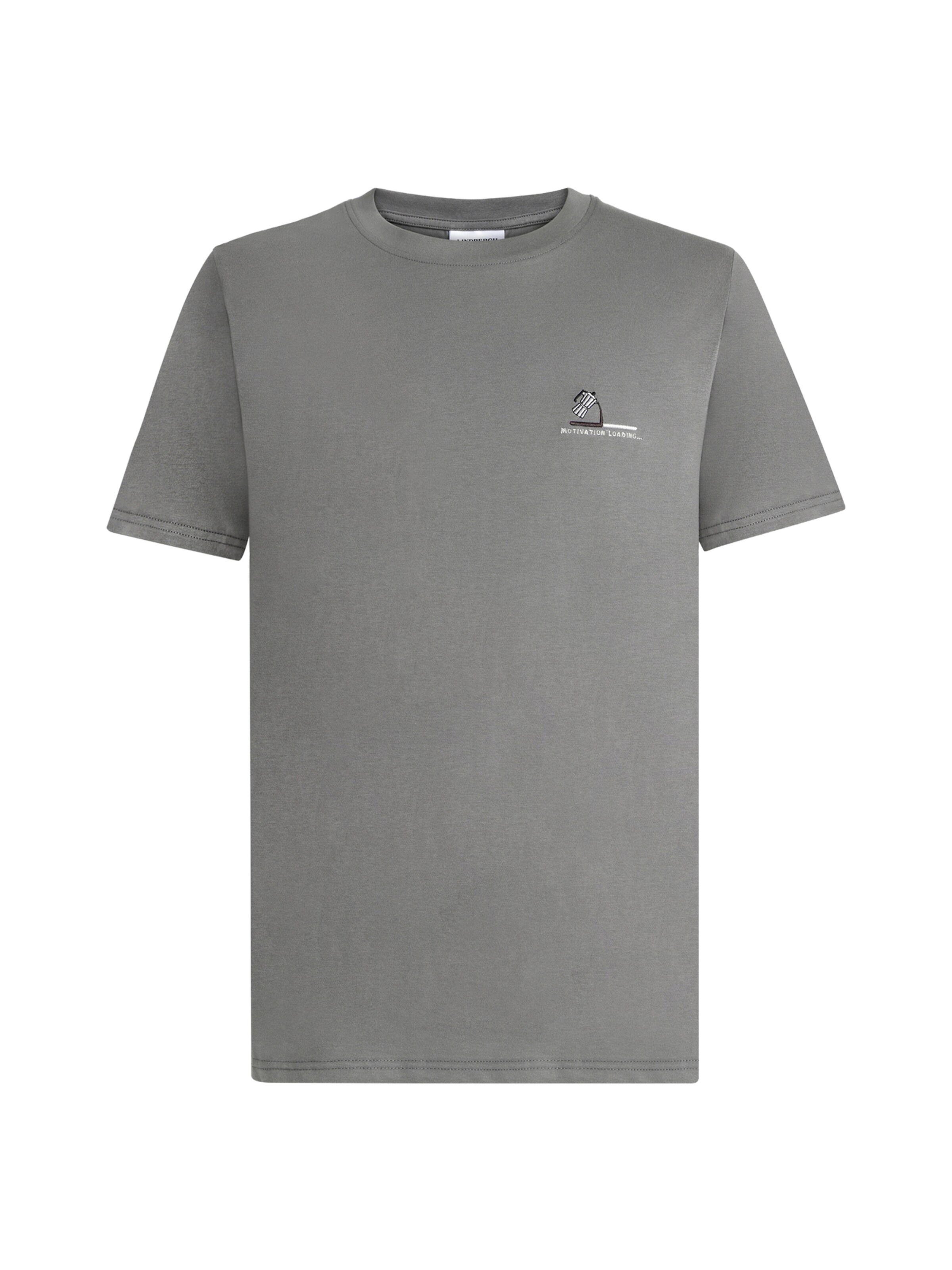 Lindbergh T-Shirt in Grau: Vorderseite