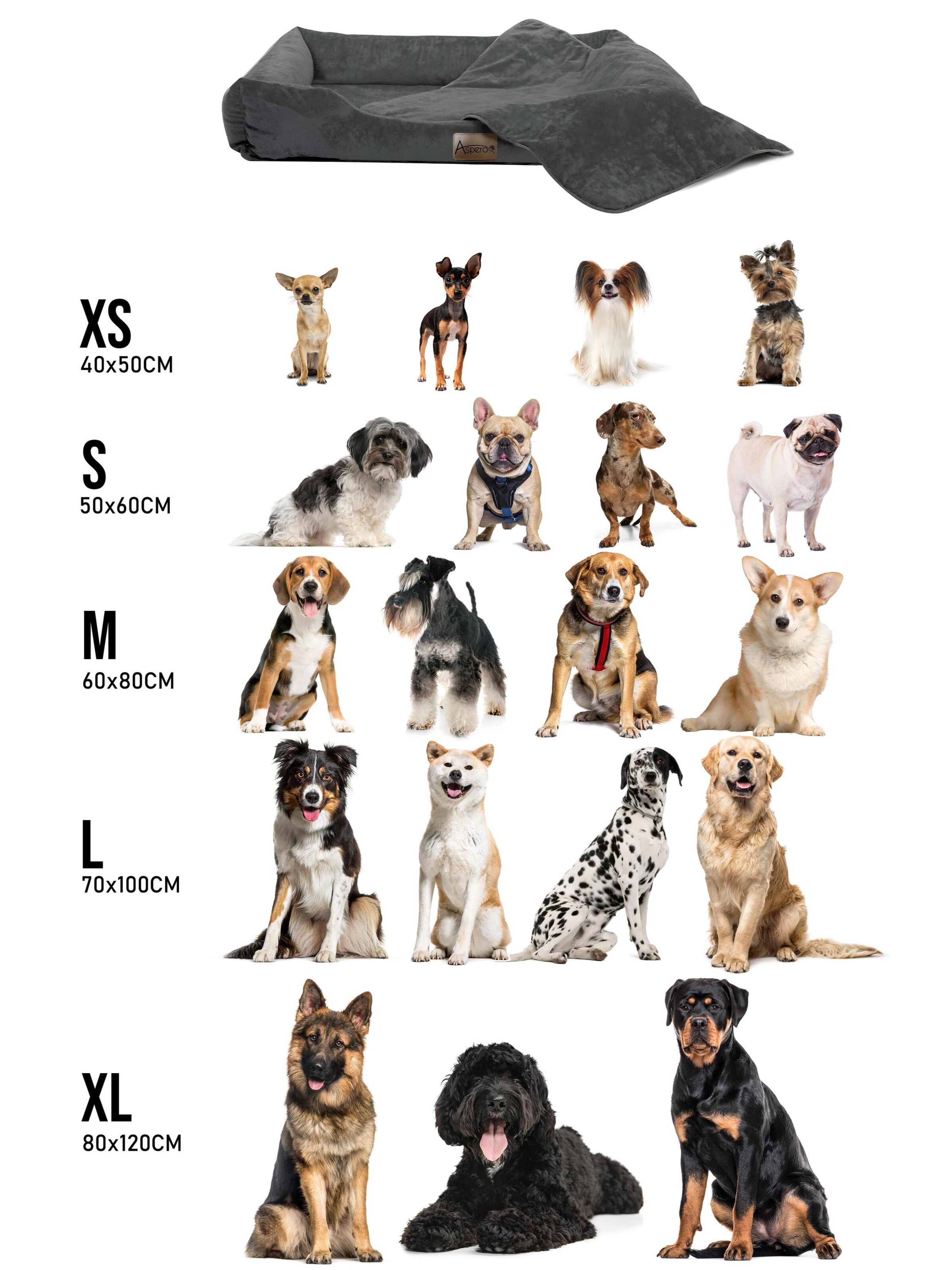 Aspero Accessoires voor dieren 'Hanko Und Lund' in Grijs