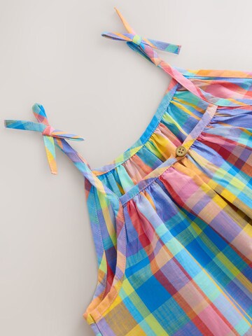 Next Dress in Mixed colours