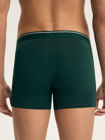 ESOTIQ Boxershorts 'Boxershorts Doppelpack aus Baumwolle Mix Atmungsaktiv bequem Able' in Groen